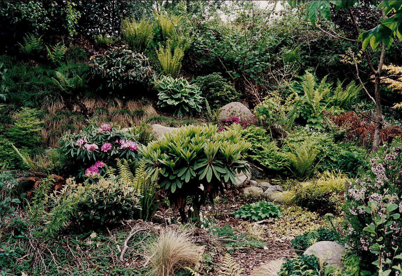 malerischer Gartenhang