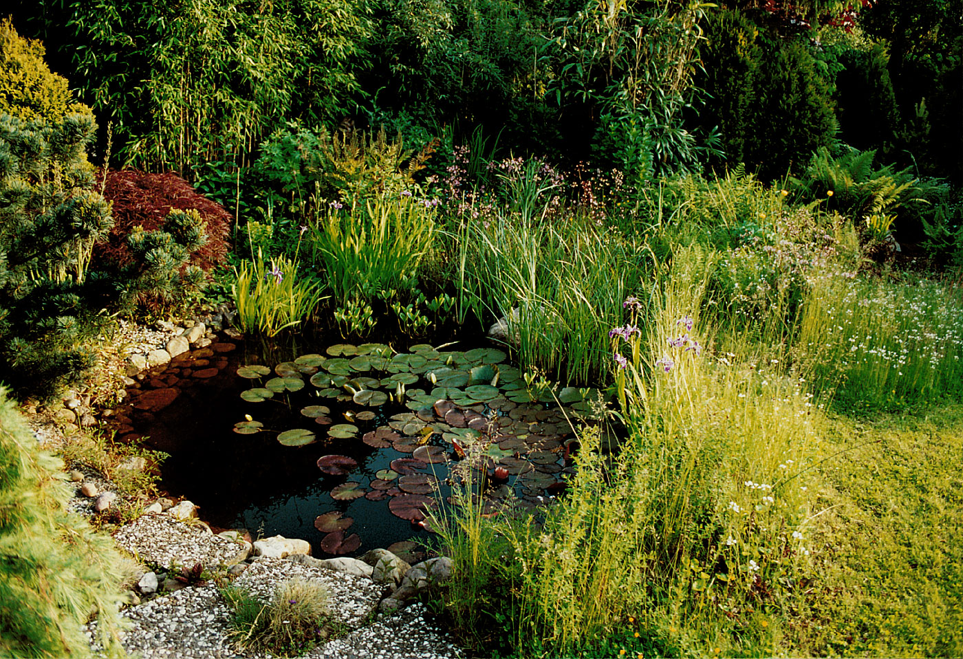 naturnaher Garten mit Teich