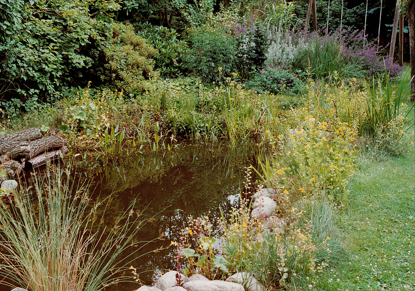 naturnaher Gartenteich